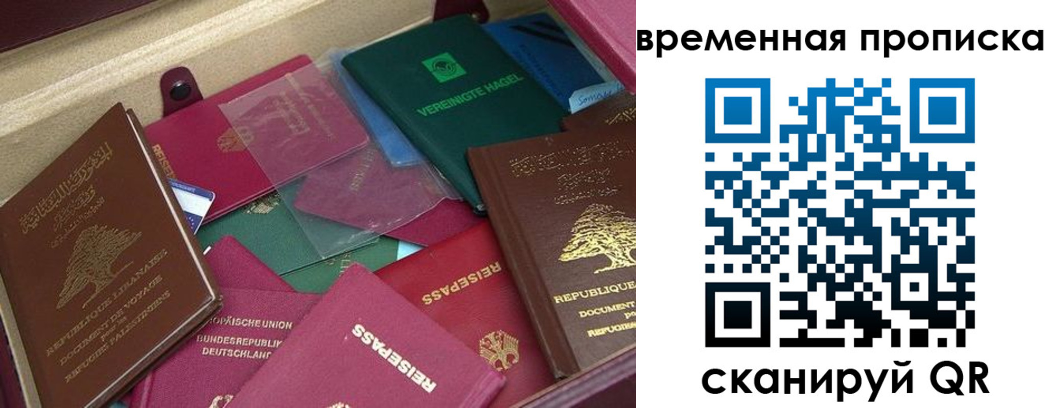прописка в Североморске